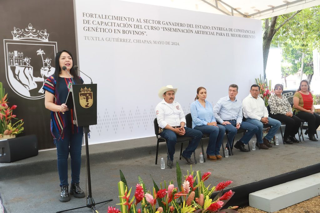 En Chiapas, se privilegia la capacitación para potenciar la productividad y el autoempleo