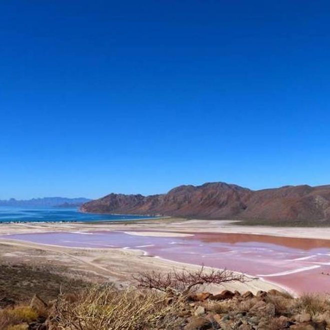 Deja la 4T sin playa a partidos de oposición - El Heraldo de Chiapas