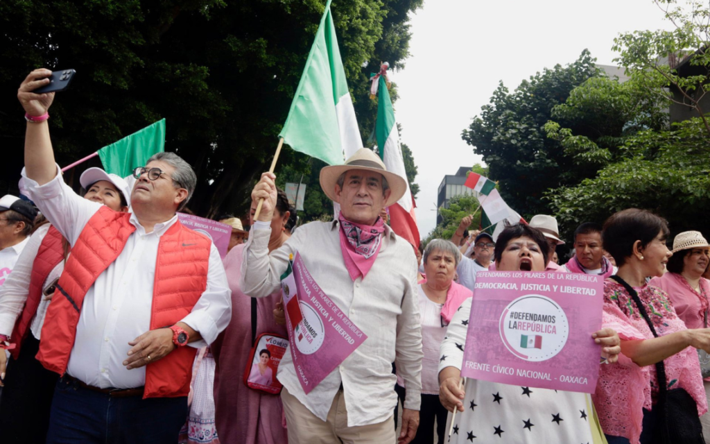Rechaza marea rosa intenciones de convertirse en partido político - El Heraldo de Chiapas