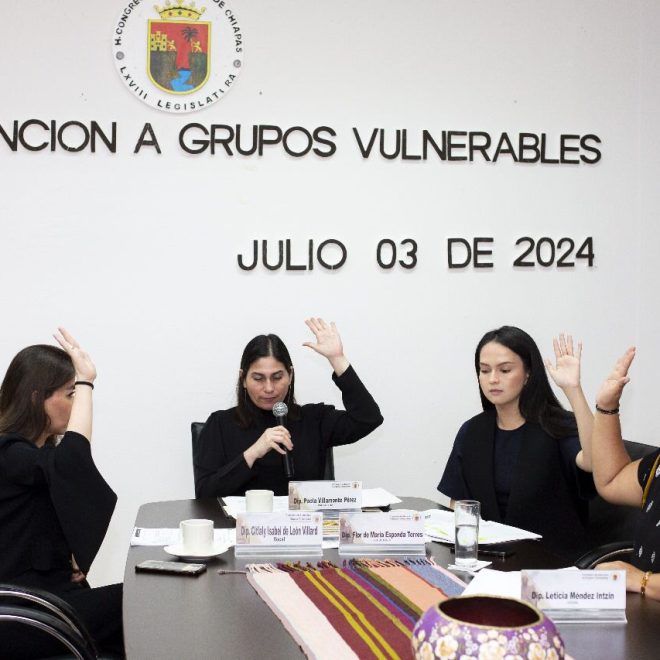 Aprueba Comisión de Atención a Grupos Vulnerables plan de trabajo para consultas a personas con TEA