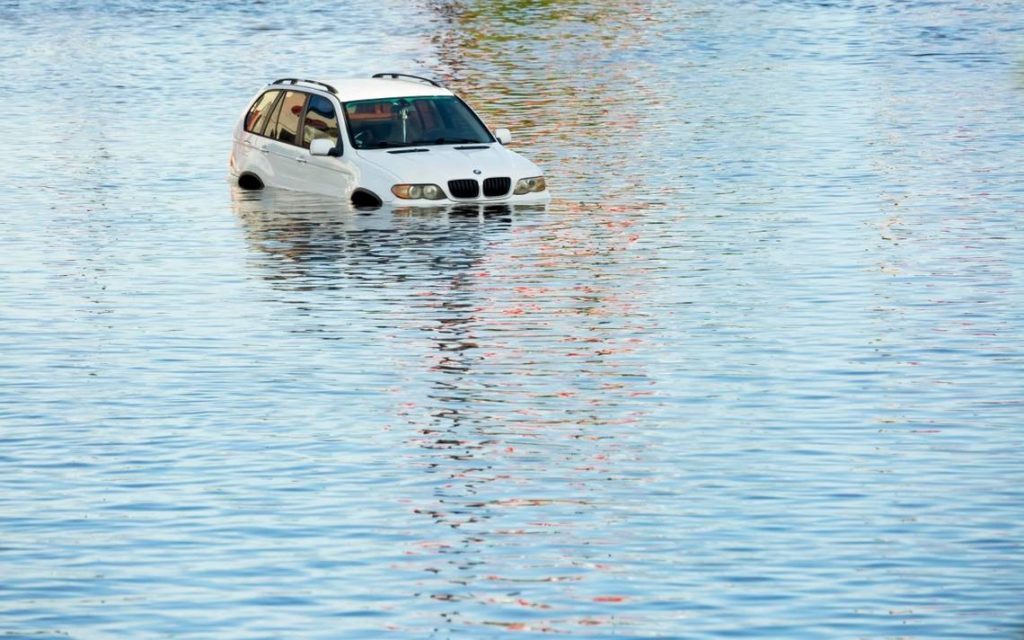 El paso de la tormenta tropical Beryl deja 4 muertos en Texas y causa un apagón masivo - El Heraldo de Chiapas
