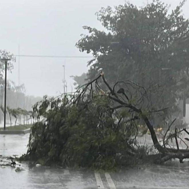 Protección Civil inicia fase de auxilio tras llegada de Beryl a la Península de Yucatán - El Heraldo de Chiapas