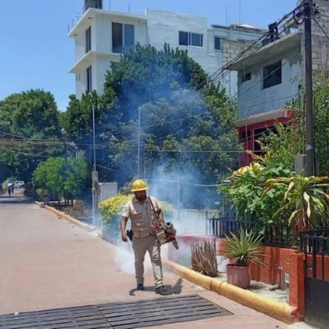 Se disparan los casos de dengue en México, ¿cuáles son los estados más afectados? - El Heraldo de Chiapas